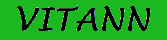 VITANN-Logo
